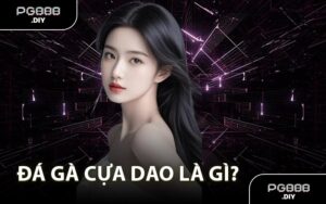 Đá gà cựa dao là gì?