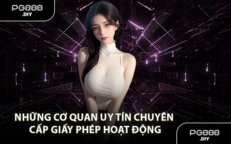 Những cơ quan uy tín chuyên cấp giấy phép hoạt động