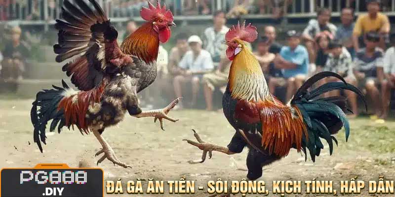 Đá gà ăn tiền