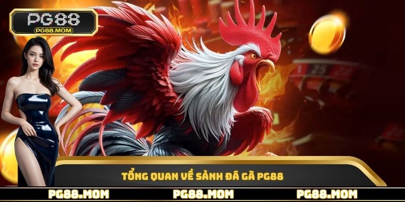 Tổng quan về sảnh đá gà PG88