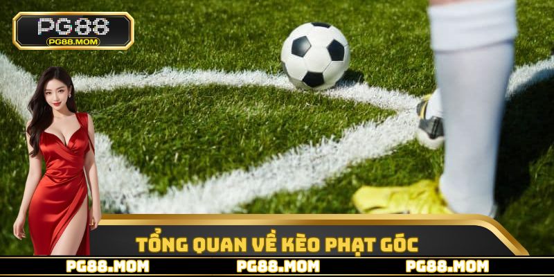 Một số thông tin cơ bản cần nắm được về hình thức kèo phạt góc